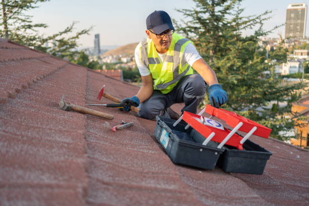 Best Shed Removal  in Mammoth Lakes, CA